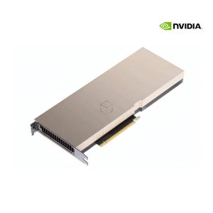 Nvidia Tesla A100 80G 빅데이터 인공지능 딥러닝GPU GPU렌탈 GPU임대