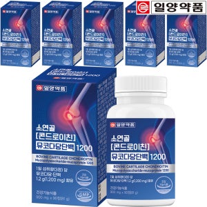 일양약품 소연골 콘드로이친 뮤코다당 단백 1200 관절 연골 정 90정, 6개