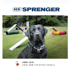 HS 이지 스텐 목줄 강아지 체인 대형견 초크체인 훈련용 초크