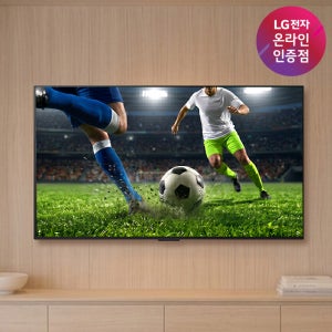 LG OLED evo AI OLED48C5ENA TV 120cm(48인치), 벽걸이