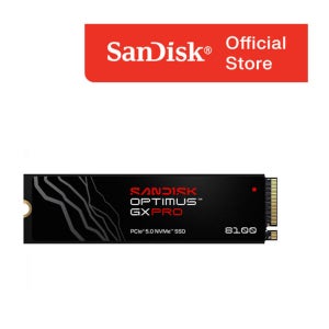 샌디스크 Optimus GX Pro 8100 M.2 SSD 1TB