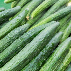 아삭아삭 제주 가시오이 2kg 제주제철채소 담기 양파 감자 당근