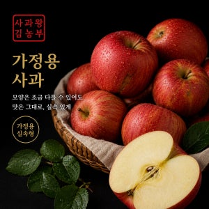 얼음골사과 청송사과 경북 안동 가정용 부사 사과