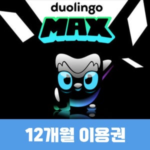 [24시간 발송] 듀오링고 맥스 패밀리 1년 12개월 구독권