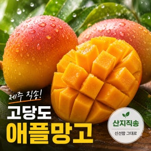제주 애플망고 고당도 중품 주문 후 수확 3kg, 9-10개