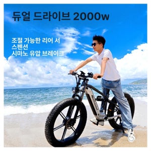 전동 스쿠터형 전동자전거 완조립 대용량 팻바이크 배터리