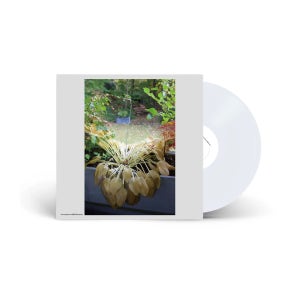 혁오 LP HYUKOH 사랑으로