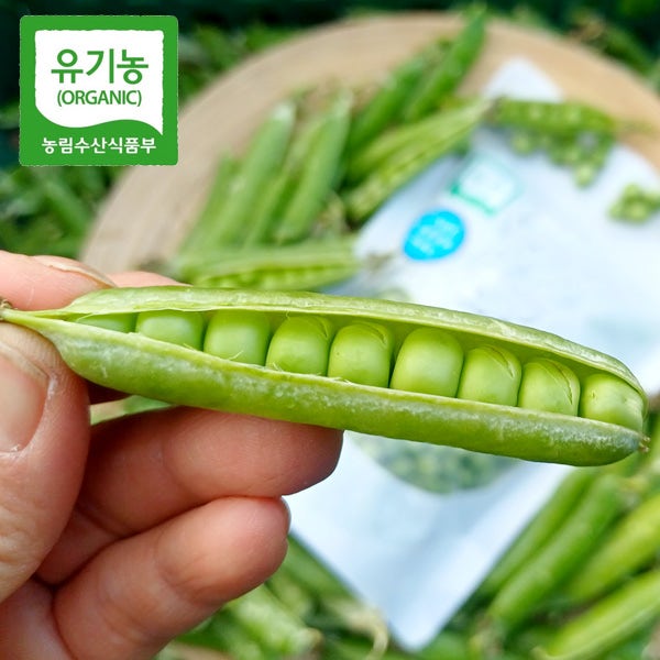 26년 햇 홍천 유기농 완두콩 깐완두콩 국내산 풋콩 아기 이유식