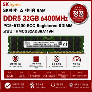 SK하이닉스 서버용 RAM DDR5 32GB 6400 PC5 51200 ECC REG HMCG82ADBRA119N