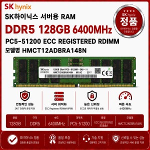 SK하이닉스 DDR5 ECC REG 128GB 6400 PC5 51200