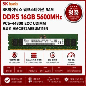 SK하이닉스 DDR5 워크스테이션 ECC UDIMM 16GB 5600 PC5 44800