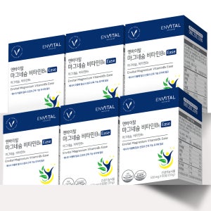 엔바이탈 마그네슘 비타민B6 Ease 60정, 6개