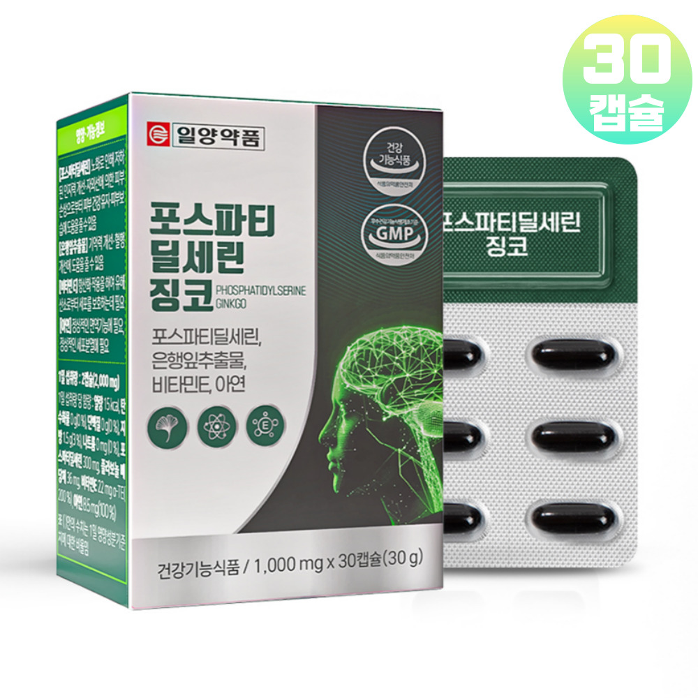 기억력·인지력엔 두뇌비책 PS 징코