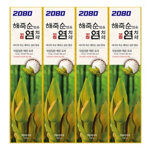 2080 해죽순 담은 소금 치약 120g, 4개