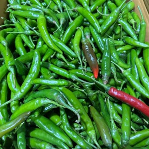 채소킹 국내산 못난이 청양고추 10kg, 1개