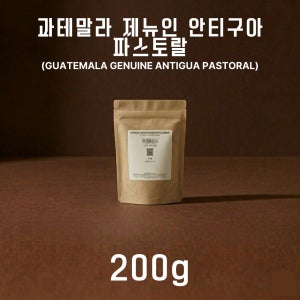 [직화로스팅] 홍제멘션 과테말라 제뉴인 안티구아 파스토랄 SHB 모카포트, 1kg, 1개