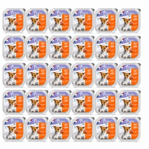 플레이저 강아지 습식사료 파테타입 치킨+야채, 100g, 32개