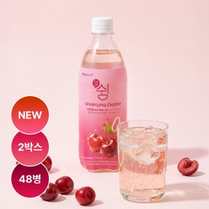 당쉼 스파클링 체리맛 애사비 탄산음료 제로음료 혈당관리 기능성표시식 500ml, 48개