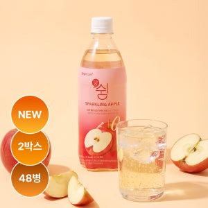 당쉼 스파클링 애플맛 애사비 탄산음료 제로음료 혈당관리 기능성표시식품 500ml, 48개