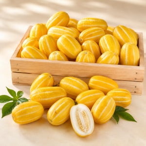 아삭아삭 싱싱한 성주참외 꼬마 미니참외 한입 고당도 과일간식 산지직송 2kg