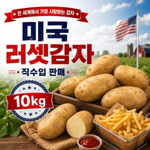 미국산 러셋감자 10kg 감자튀김용 왕특 왕왕 생감자 업소용 스퍼드맨