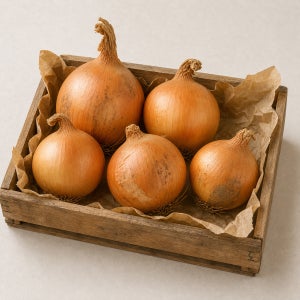 [반품안심케어] 무안·창녕 햇양파 특대, 5kg, 1개