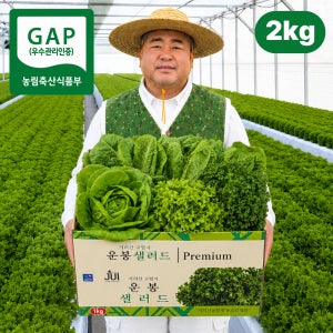 [지리산 산지직송] 유러피안 샐러드 채소 유럽 상추 로메인 버터헤드 프릴아이스 2kg, 1개