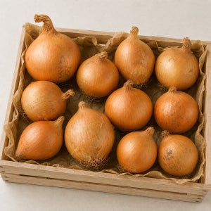 [반품안심케어] 대용량 무안·창녕 햇양파 특대, 10kg, 1개