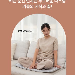 온담2인용전기방석