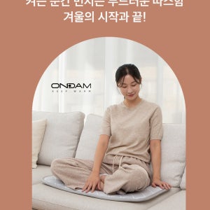 온담 3인용 전기방석