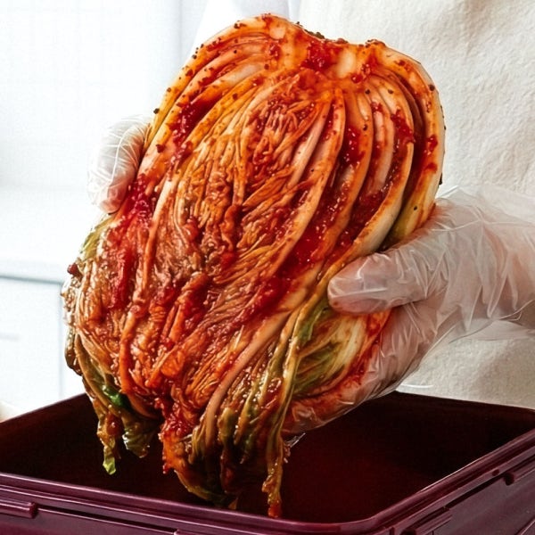 포기 광주김치 10키로 10kg 전라도 빛고을 배추김치 10kg 1kg