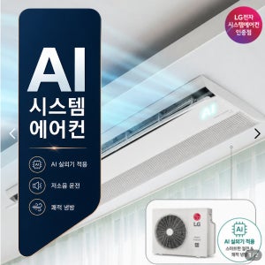 LG 시스템에어컨 가정용 AI엔진 탑재 프리미엄 모델, 다배관
