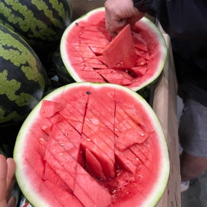 프리미엄 고당도 제철 수박 맹동 함안 고창 6kg 7kg 수박 산지직송 대과