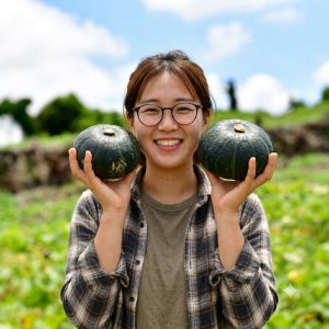 제주 미니 단호박 밤호박 보우짱 국내산 로얄과, 3kg, 1개
