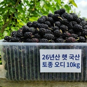 26년 햇 국산 토종 오디 5kg 명품 10kg, 1개