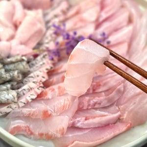 산지직송 제철 민어회 당일바리 자연산 민어 모둠회