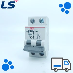 LS일렉트릭 배선용차단기 BK 63H 2P C4A