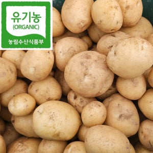 26년 햇감자 하지감자 1/3/5kg 산지직송 유기농 노지재배 감자 친환경 농산물