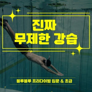 [서울 경기] AIDA 프리다이빙 무제한 강습 자격증 3레벨, 1인
