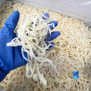 [고울선] 백 진미채 국내가공 10kg 오징어진미채 벌크 대용량 업소용 식자재 건어물도매