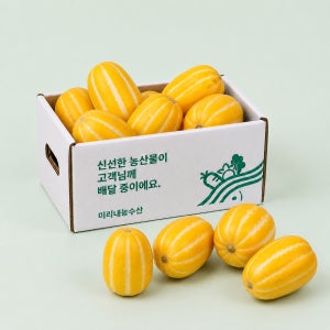 (농할20%) 국내산 참외 5kg