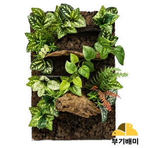 도마뱀 사육장 파충류 백스크린 크레스티드게코 레이아웃 배미벽 (20x30, 30x45)