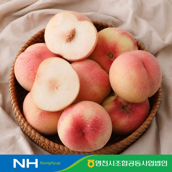 [농할20%] 영천 농협 천도 복숭아 말랑이 물복숭아 딱복숭아 신비 3kg