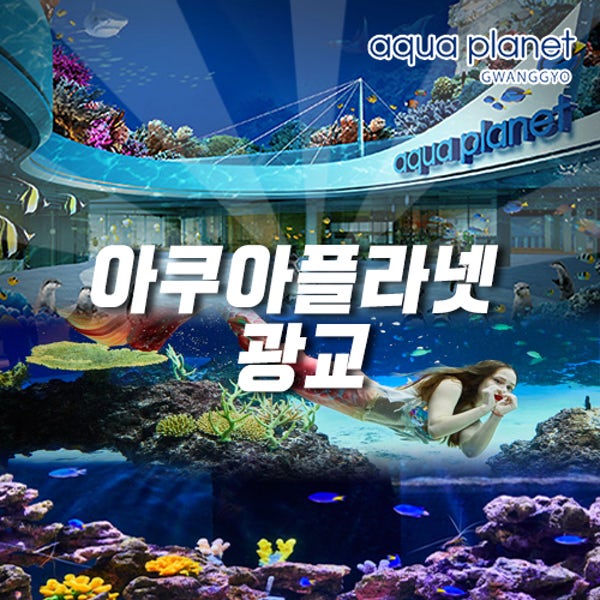 아쿠아플라넷 광교 갤러리아 아쿠아리움 입장권