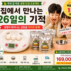 콜덕 부화체험 풀세트 콜덕알 3알 부화기대여 전용사료 1kg 자동급수기 포함