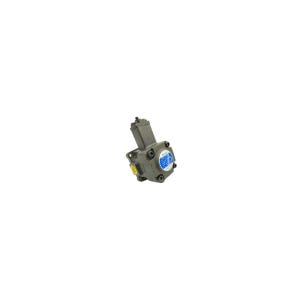 VP1-20 펌프 산업용 MRO