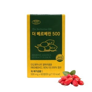 베르베린 500mg 매자나무열매