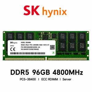 SK하이닉스 서버용 메모리 DDR5 96GB 4800 PC5 38400 ECC REG