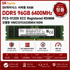 SK하이닉스 서버용 DDR5 96GB 6400 메모리 PC5-51200 ECC RDIMM