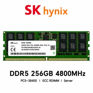 SK하이닉스 서버용 메모리 DDR5 256GB 4800 PC5 38400 ECC REG